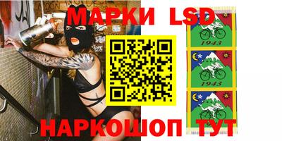 стафф Кандалакша