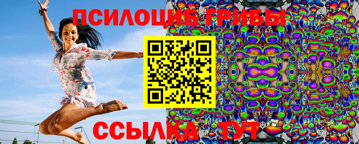 Галлюциногенные грибы Cubensis Краснокаменск