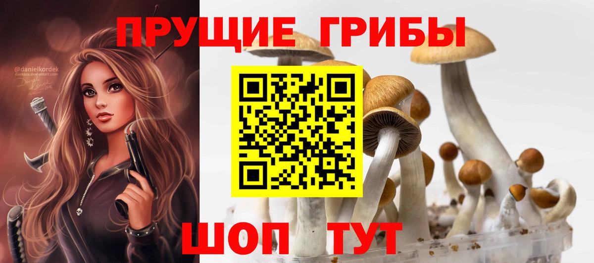 Галлюциногенные грибы мухоморы  Псилоцибиновые грибы мухоморы  Краснокаменск  Вход с VPN 